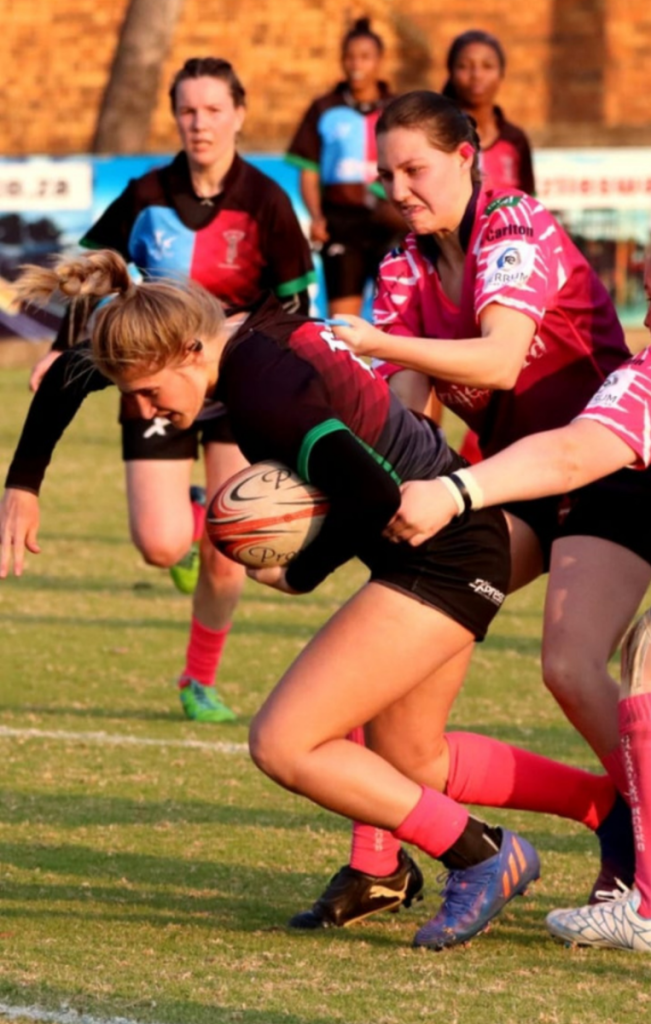 Harlequins